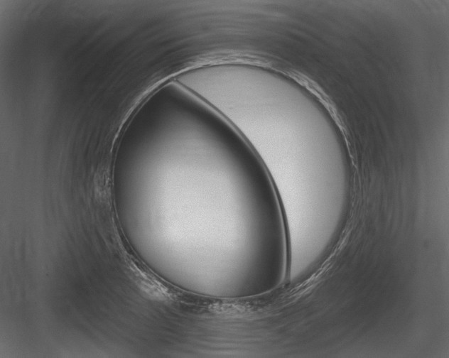 X0000084601089200702231030