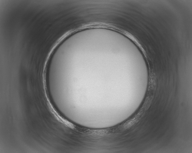 X0000084601090200702231030