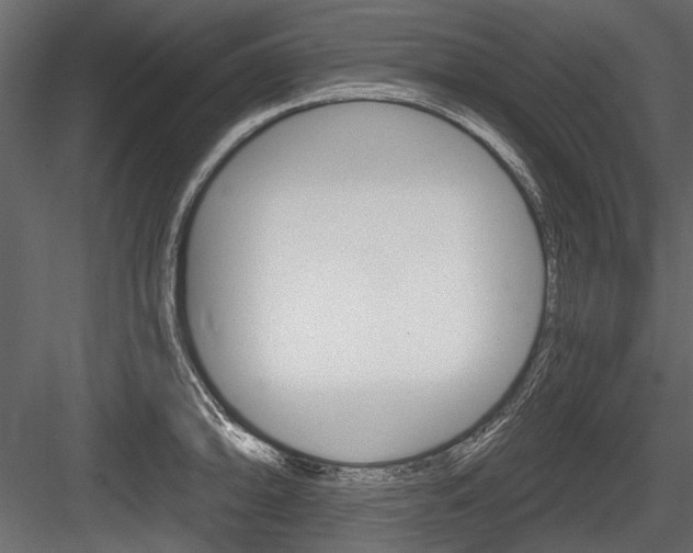 X0000084601094200702231029