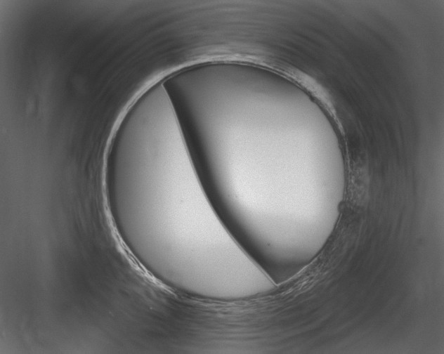 X0000084601096200702231029