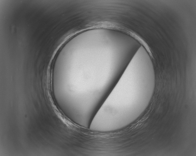 X0000084601099200702231029