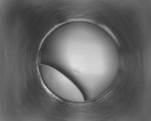 X0000084601100200702231029