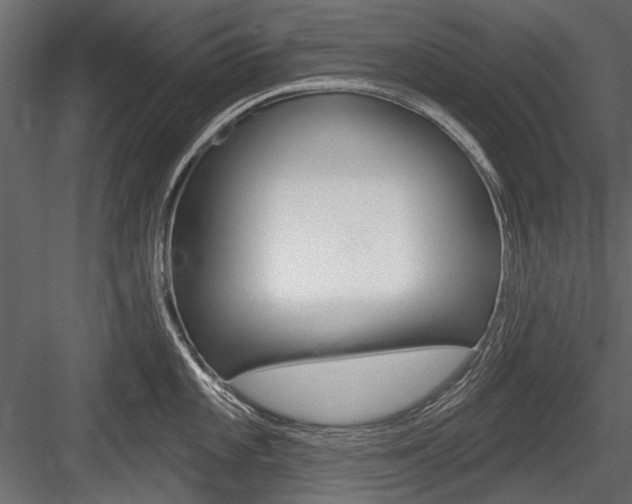 X0000084601101200702231029