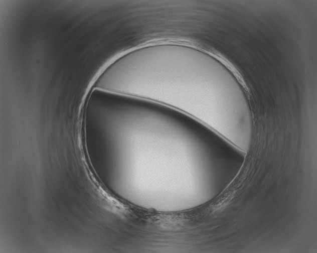X0000084601102200702231029