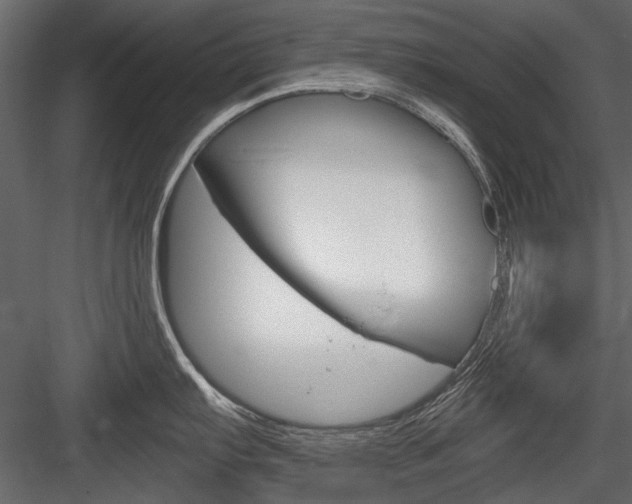 X0000084601103200702231029