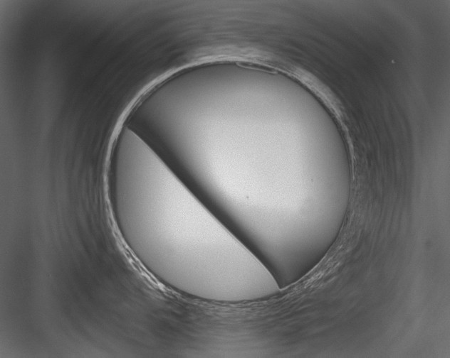 X0000084601104200702231029