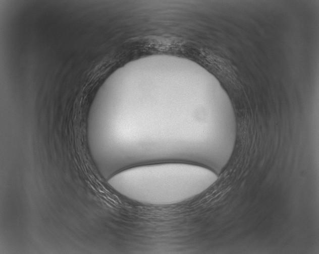 X0000084601105200702231028