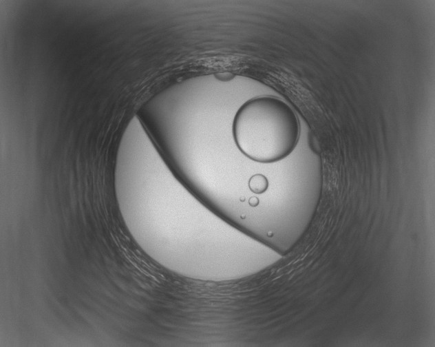 X0000084601106200702231028