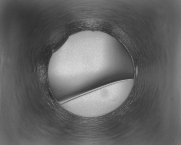 X0000084601107200702231028