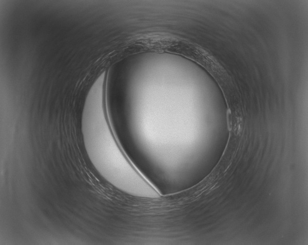 X0000084601108200702231028