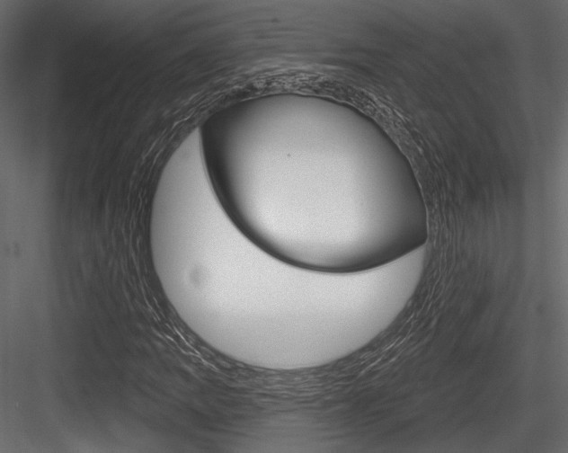 X0000084601109200702231029