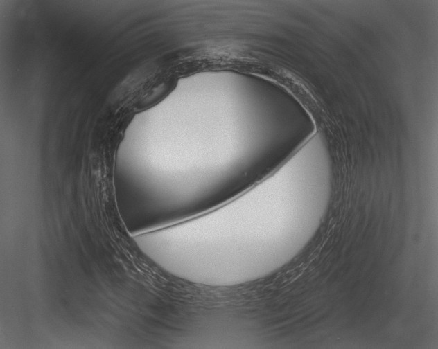 X0000084601111200702231029