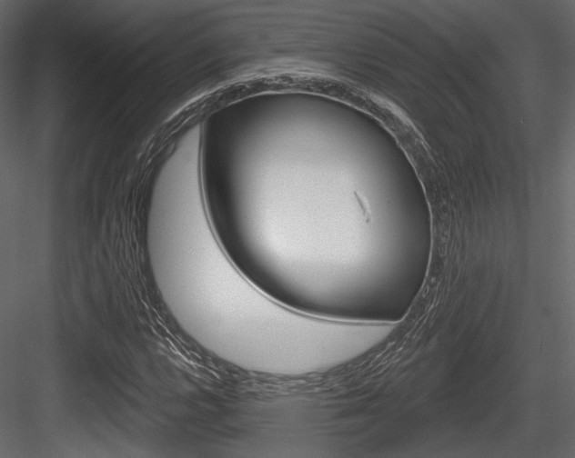 X0000084601112200702231029