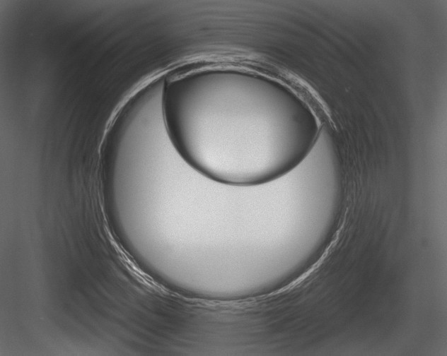 X0000084601114200702231029