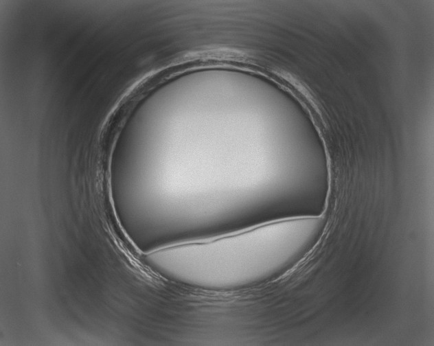 X0000084601115200702231029