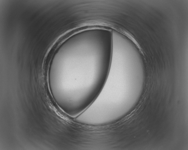 X0000084601116200702231029