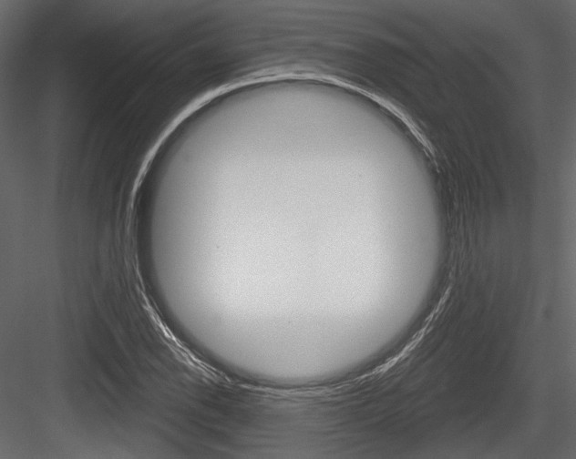 X0000084601118200702231029