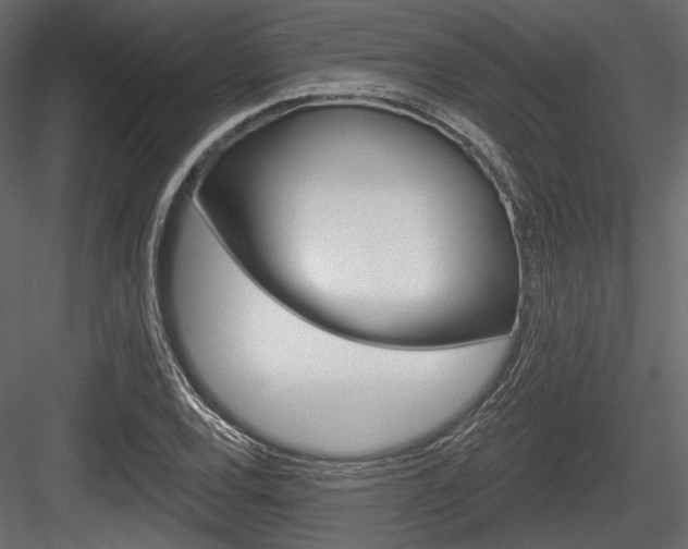 X0000084601120200702231029