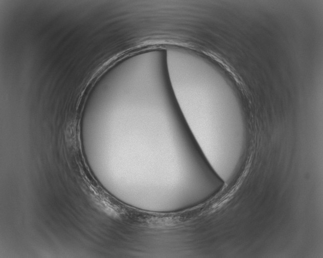 X0000084601121200702231029