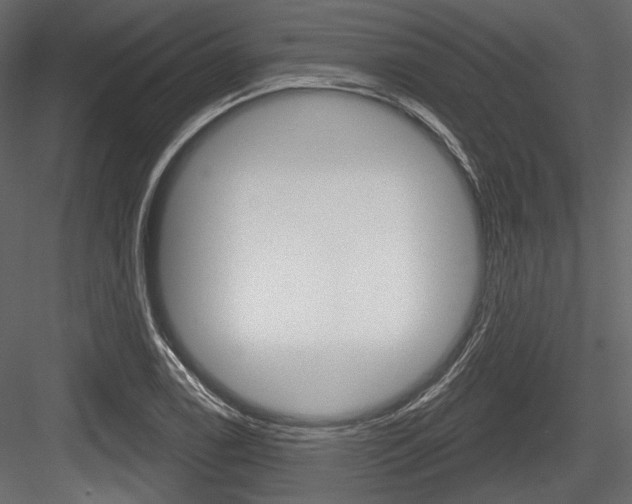X0000084601122200702231029