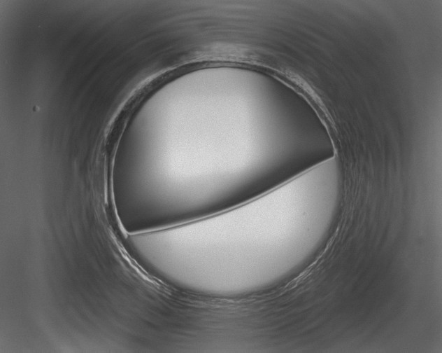 X0000084601123200702231029