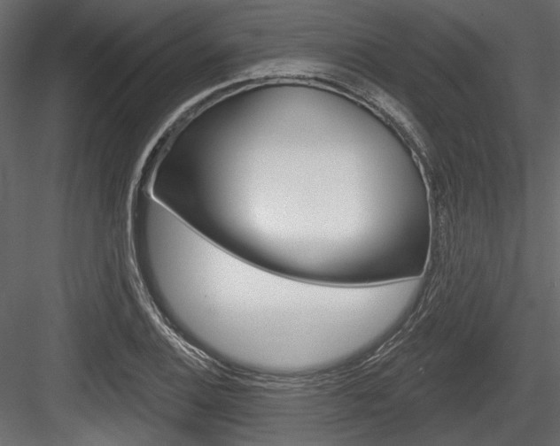 X0000084601124200702231029