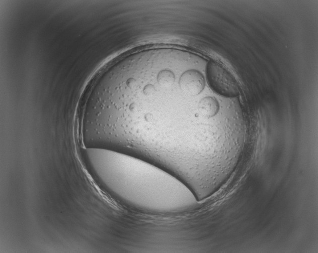 X0000084601125200702231029