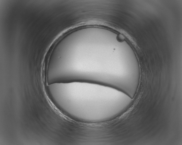 X0000084601126200702231029