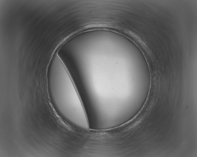 X0000084601129200702231029