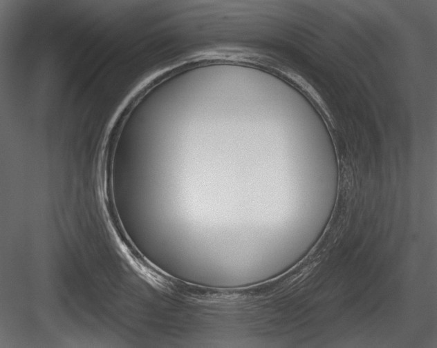 X0000084601131200702231029