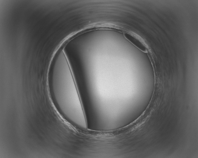 X0000084601133200702231029