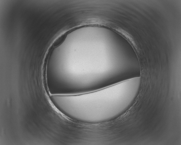 X0000084601135200702231029