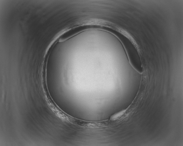 X0000084601138200702231029