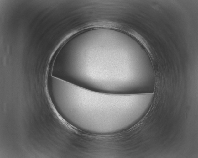 X0000084601139200702231029