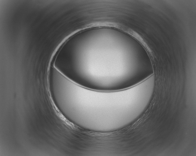 X0000084601140200702231029