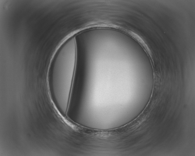 X0000084601141200702231029
