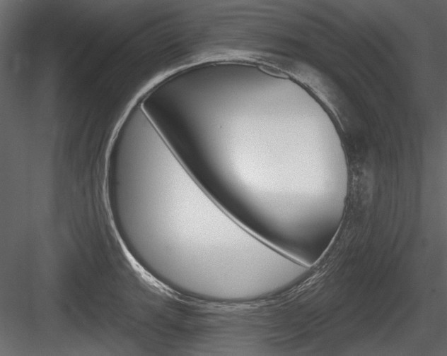 X0000084601143200702231029