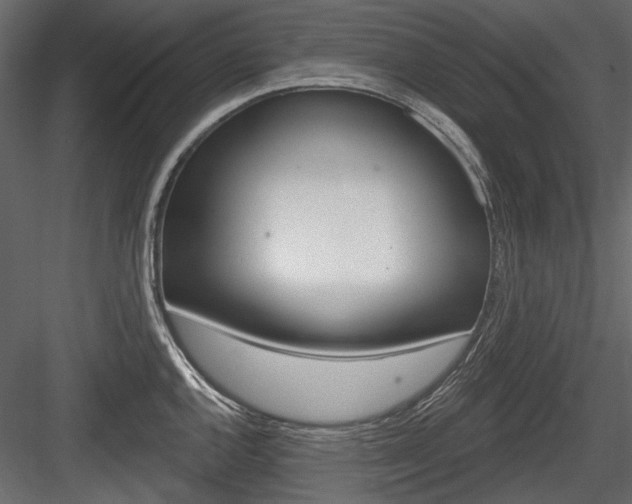 X0000084601144200702231029