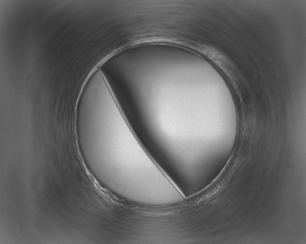 X0000084601145200702231029