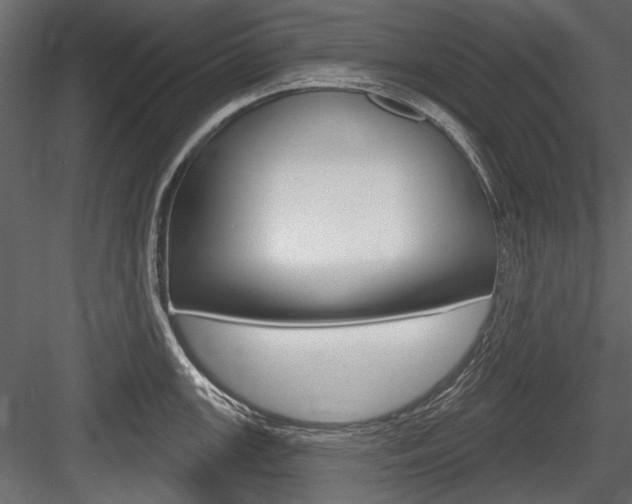 X0000084601147200702231029
