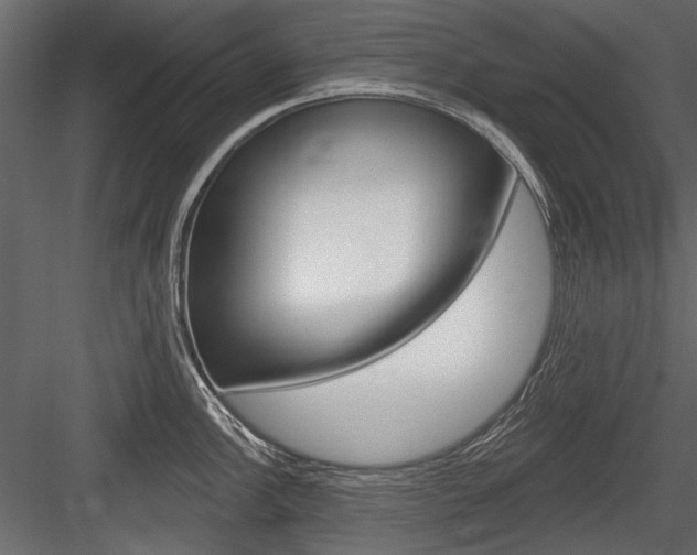 X0000084601148200702231029