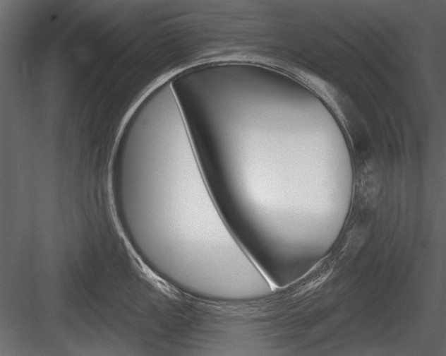 X0000084601149200702231029