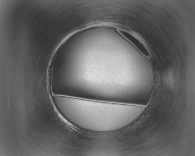 X0000084601151200702231029