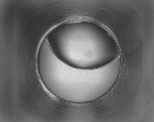 X0000084601152200702231029
