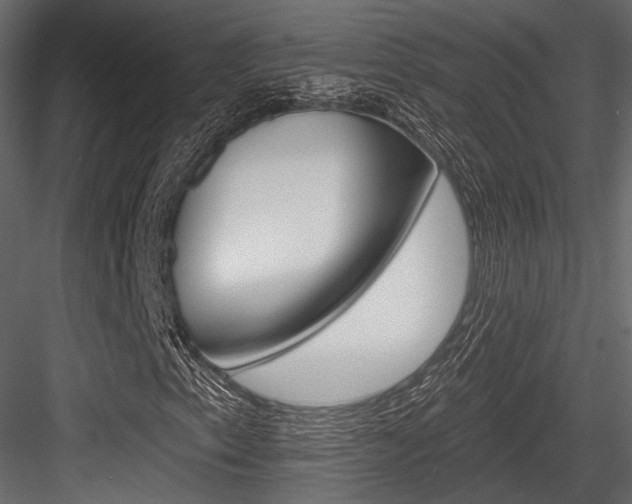 X0000084601153200702231028