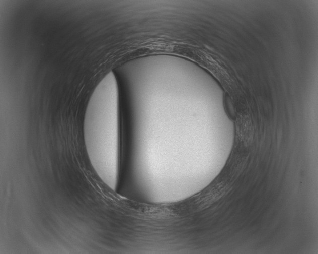 X0000084601154200702231028