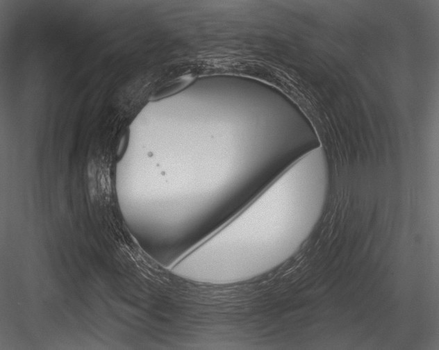 X0000084601155200702231028