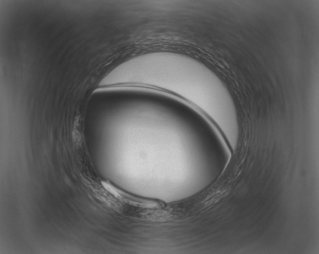 X0000084601156200702231028