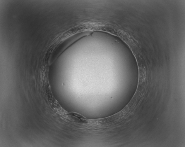X0000084601157200702231028