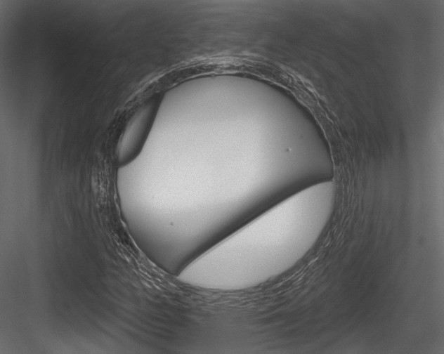 X0000084601158200702231028